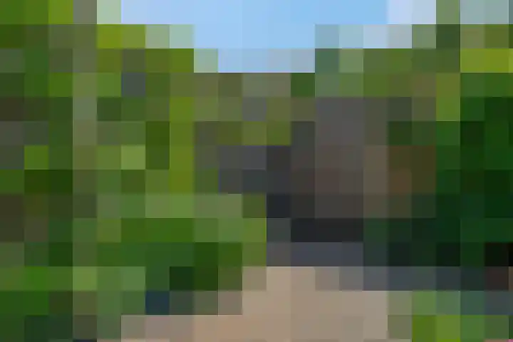 Frisodreef 17 Langbroek thumbnail 37