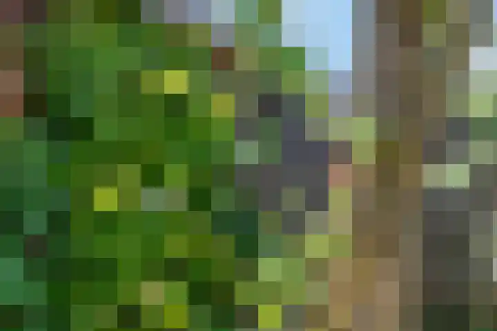 Frisodreef 17 Langbroek thumbnail 38