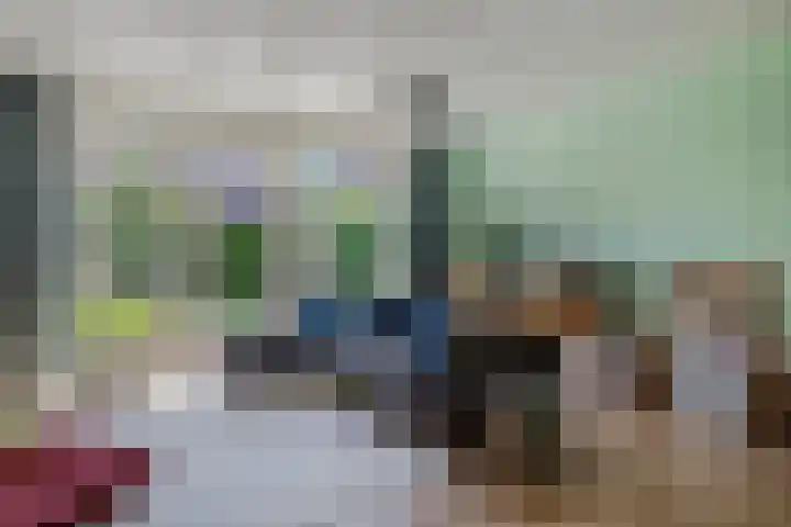 Frisodreef 17 Langbroek thumbnail 4