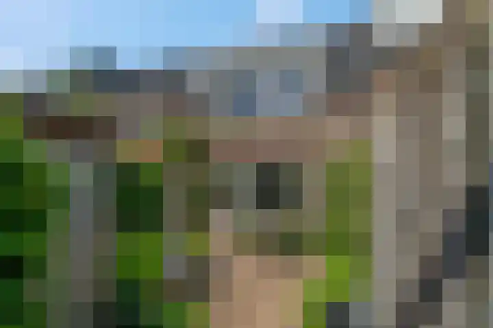 Frisodreef 17 Langbroek thumbnail 40