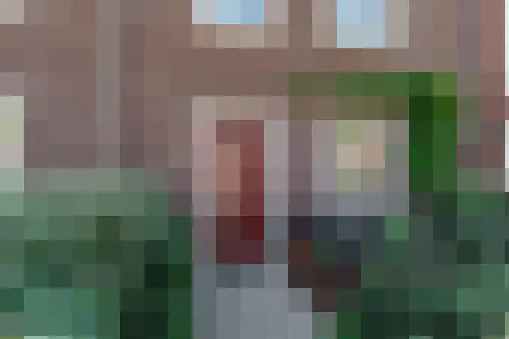 Frisodreef 17 Langbroek thumbnail 48