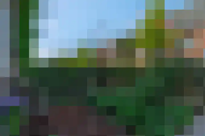 Frisodreef 17 Langbroek thumbnail 49