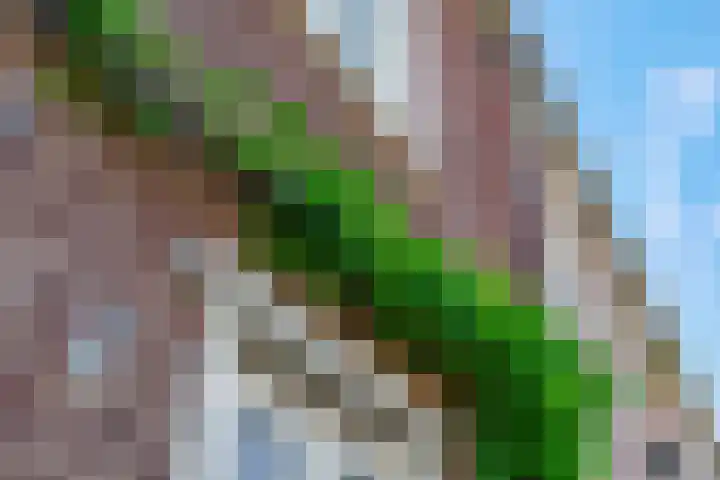 Frisodreef 17 Langbroek thumbnail 50