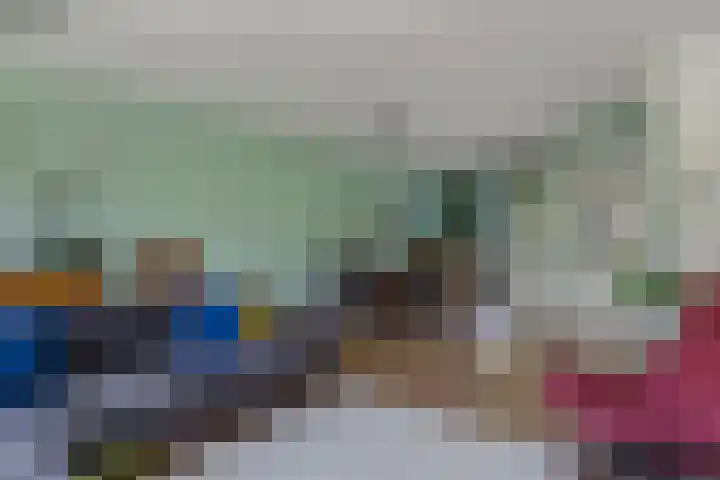 Frisodreef 17 Langbroek thumbnail 8