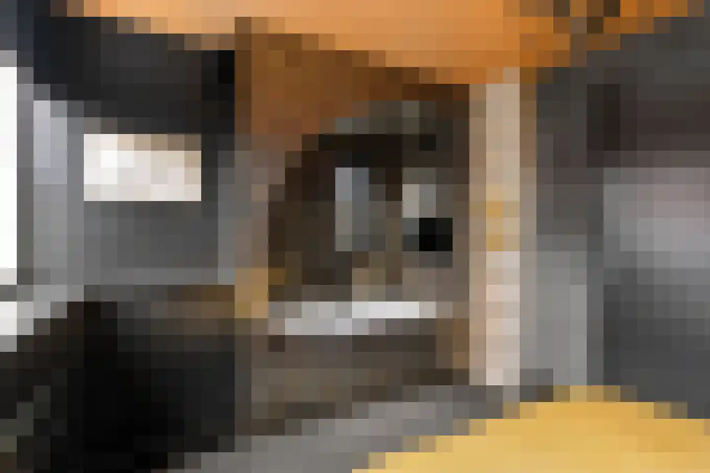 Frisohof 5 Elst Ut thumbnail 13