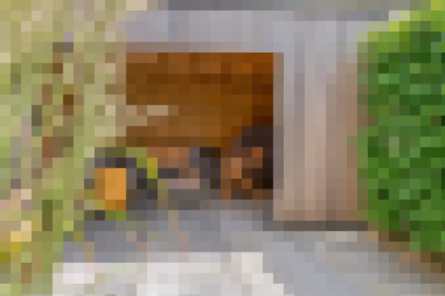 Frisohof 5 Elst Ut thumbnail 14