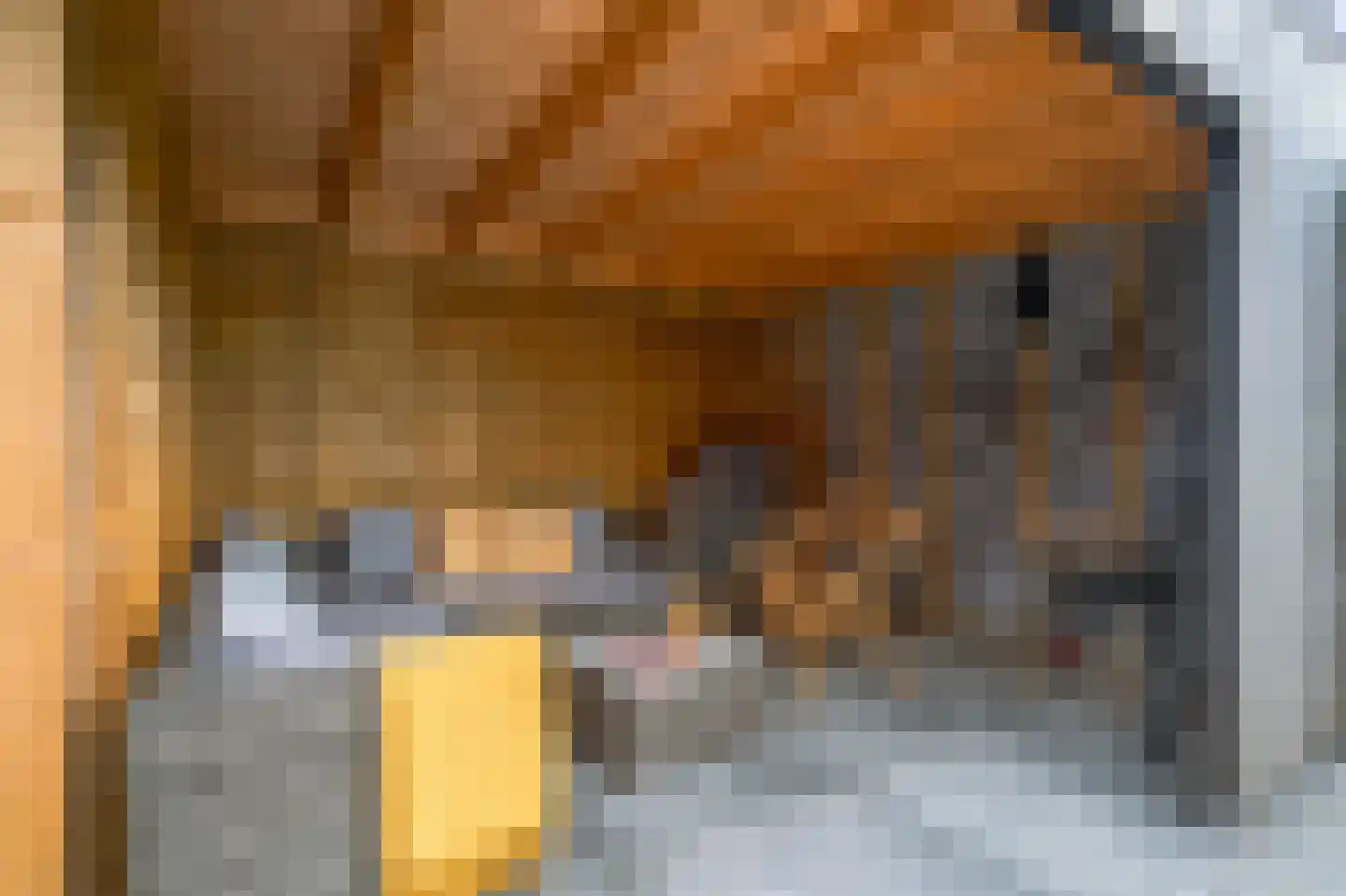 Frisohof 5 Elst Ut thumbnail 15