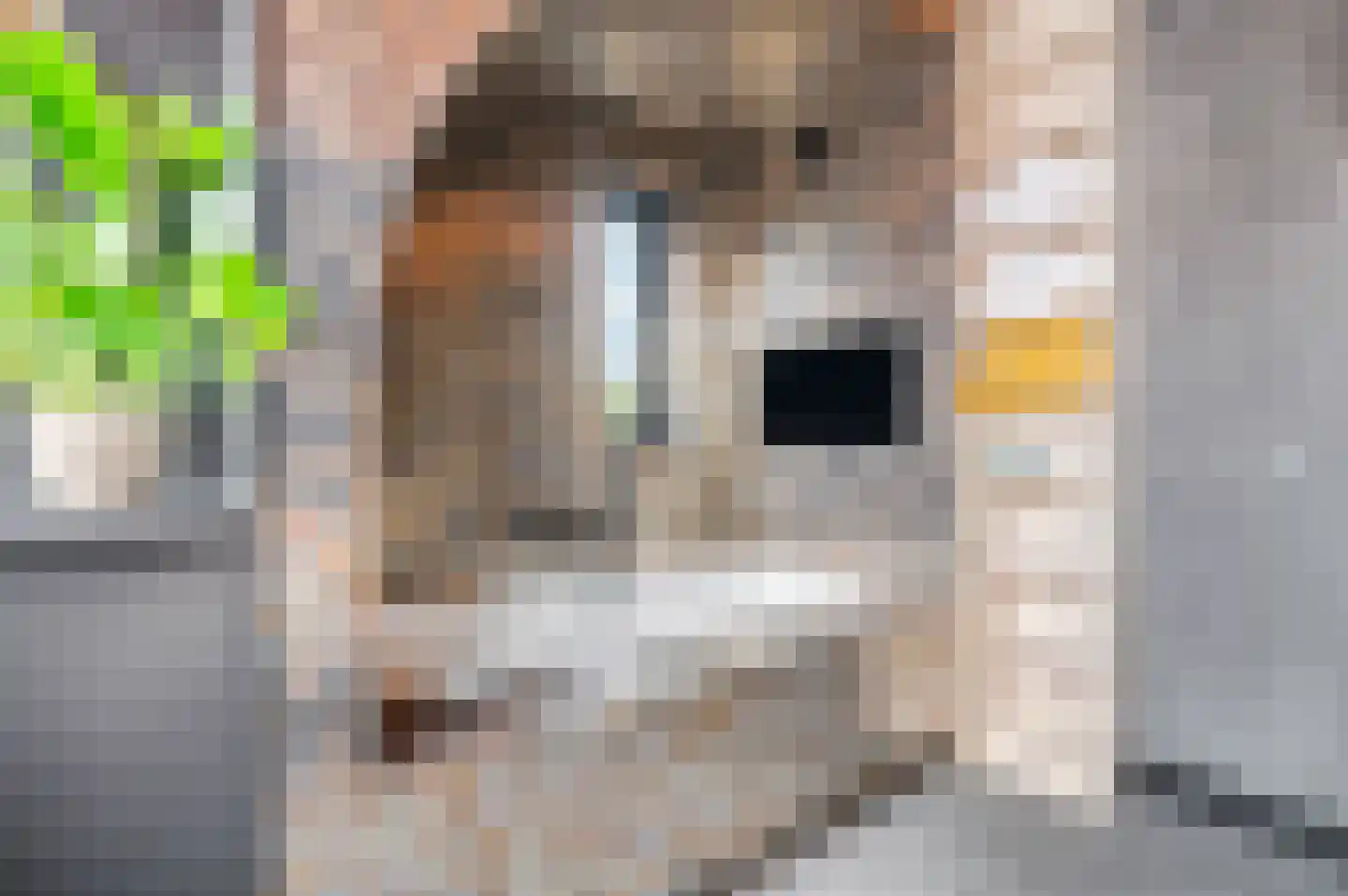 Frisohof 5 Elst Ut thumbnail 15