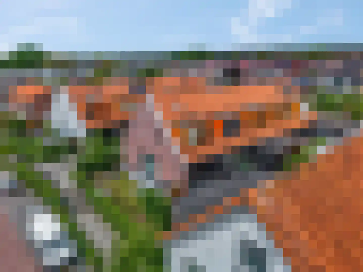 Frisohof 5 Elst Ut thumbnail 19