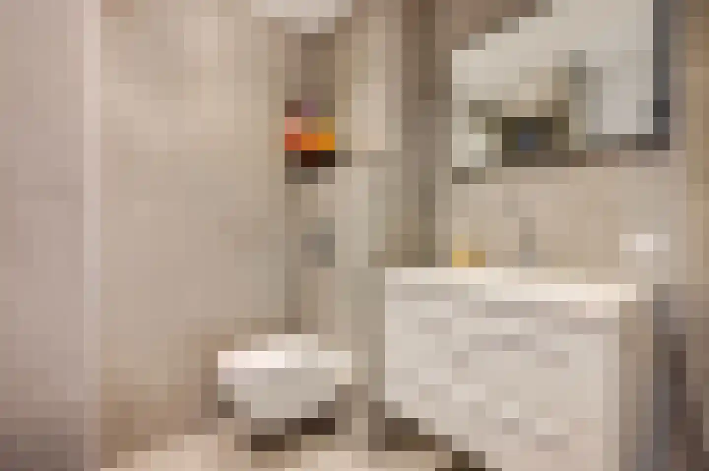 Frisohof 5 Elst Ut thumbnail 19