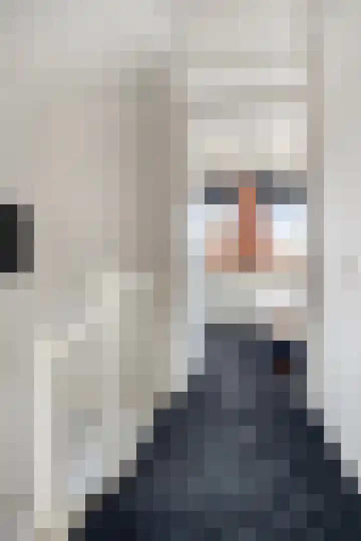 Frisohof 7 Elst Ut thumbnail 15