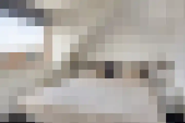 Frisohof 7 Elst Ut thumbnail 17