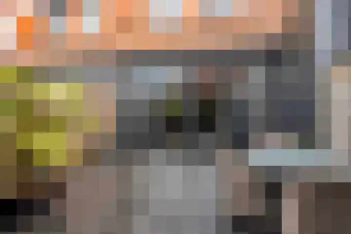Frisohof 7 Elst Ut thumbnail 25