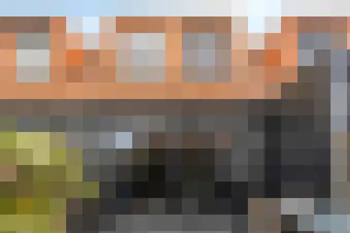 Frisohof 7 Elst Ut thumbnail 26