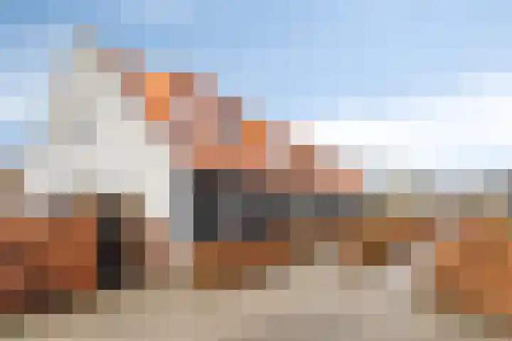 Frisohof 7 Elst Ut thumbnail 30