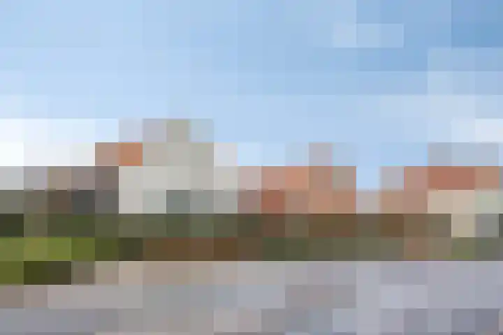 Frisohof 7 Elst Ut thumbnail 31