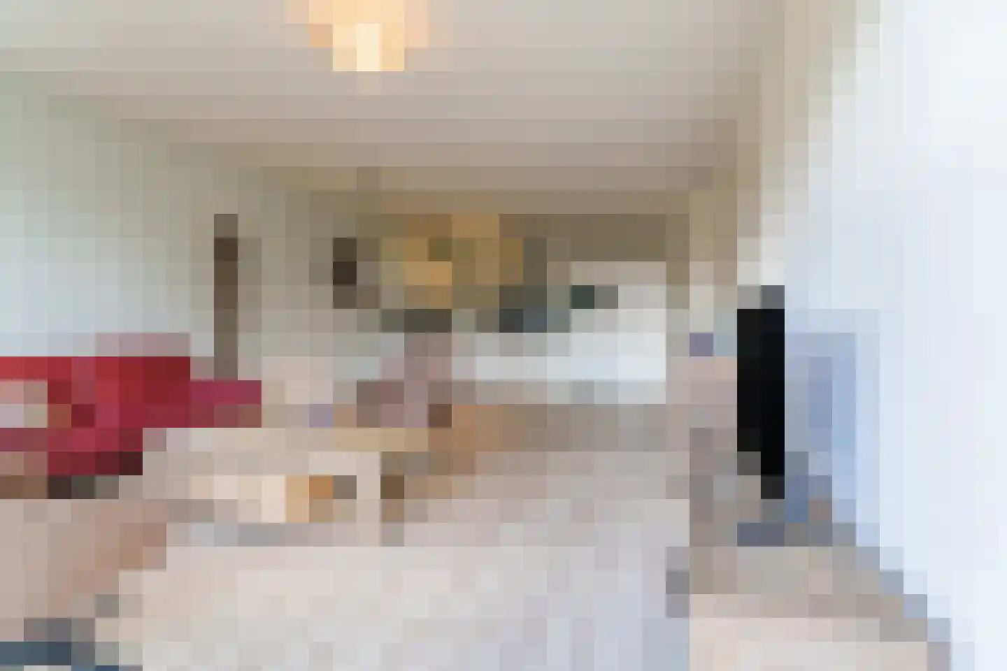Frisolaan 17 Culemborg thumbnail 9