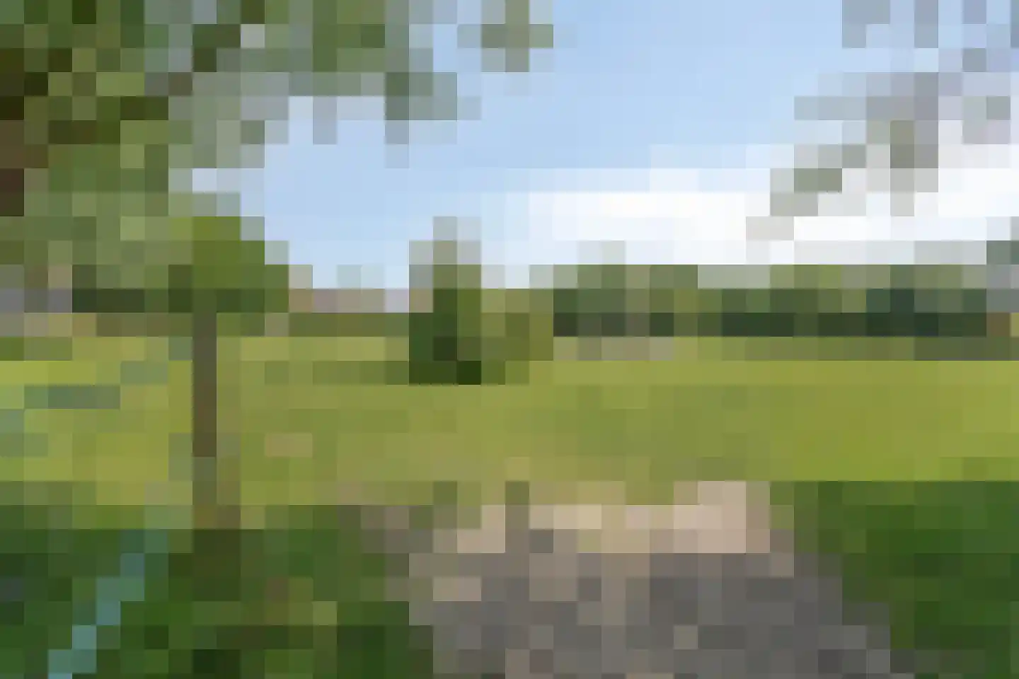 Frisostraat 13 Schore thumbnail 56