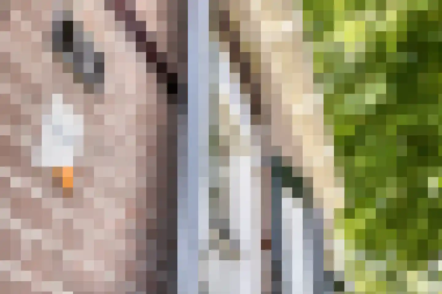 Frisostraat 13 Schore thumbnail 6