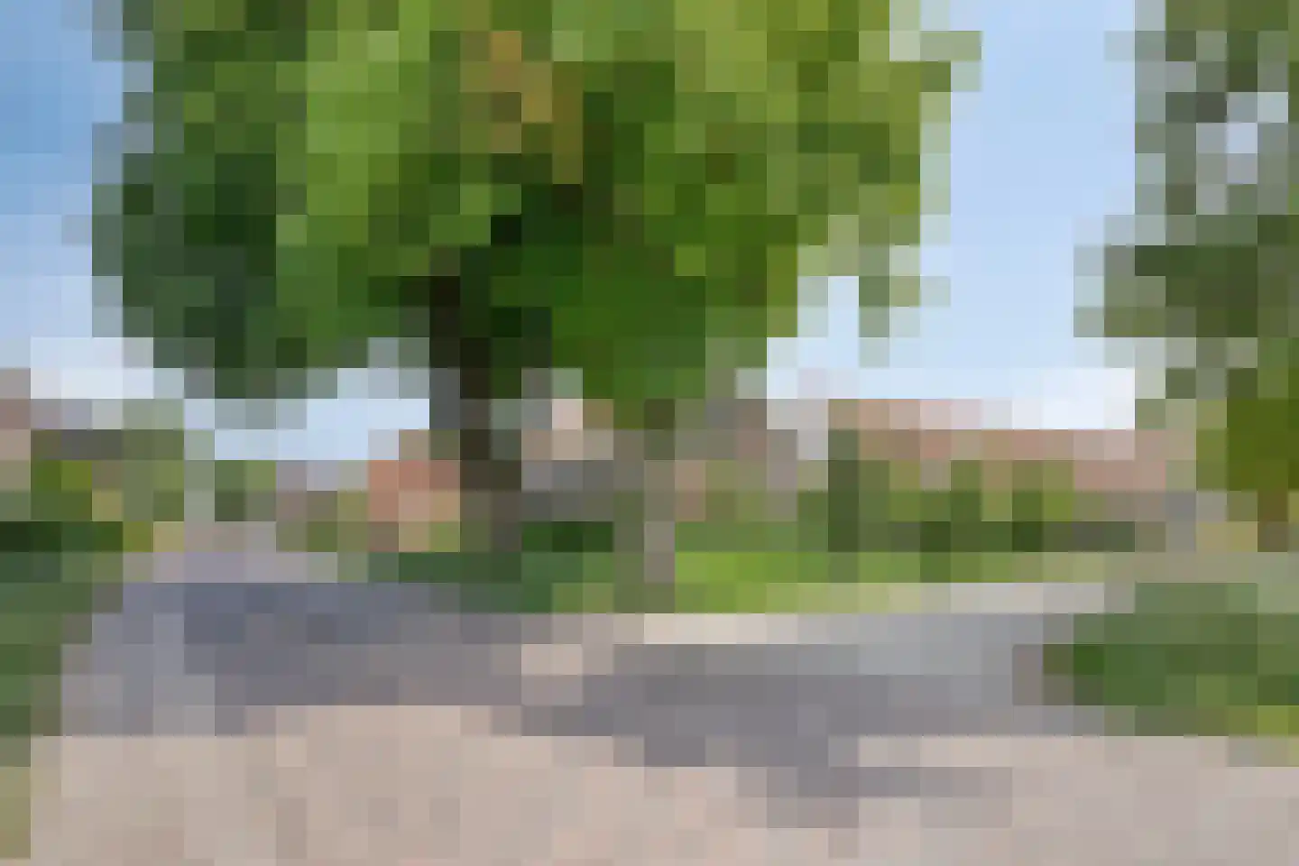 Frisostraat 13 Schore thumbnail 70