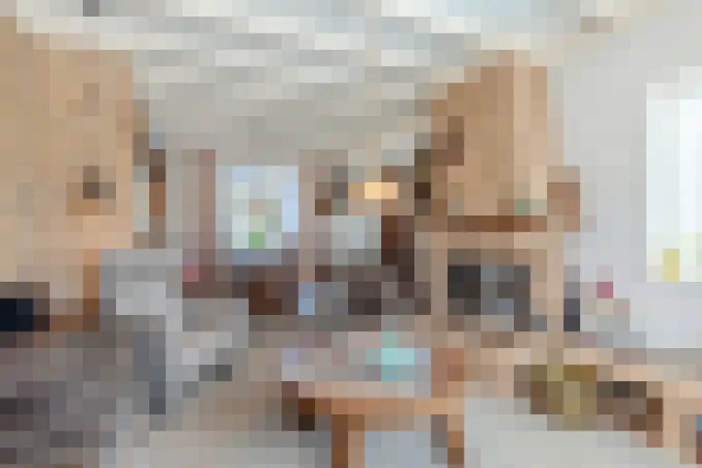 Frisostraat 2 Zevenbergschen Hoek thumbnail 12