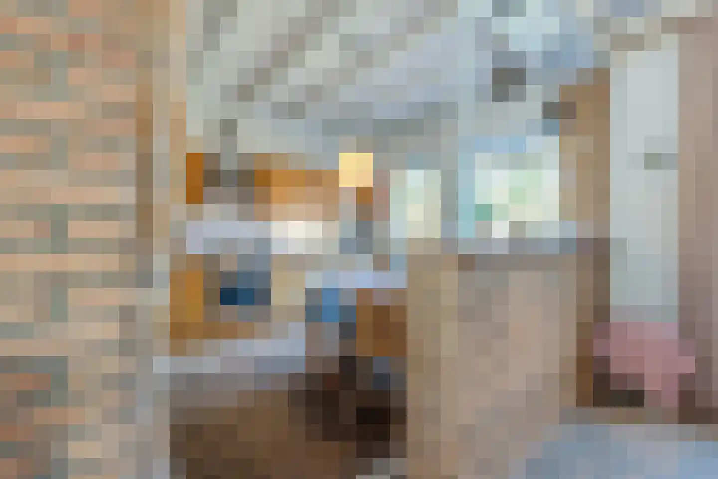 Frisostraat 2 Zevenbergschen Hoek thumbnail 16