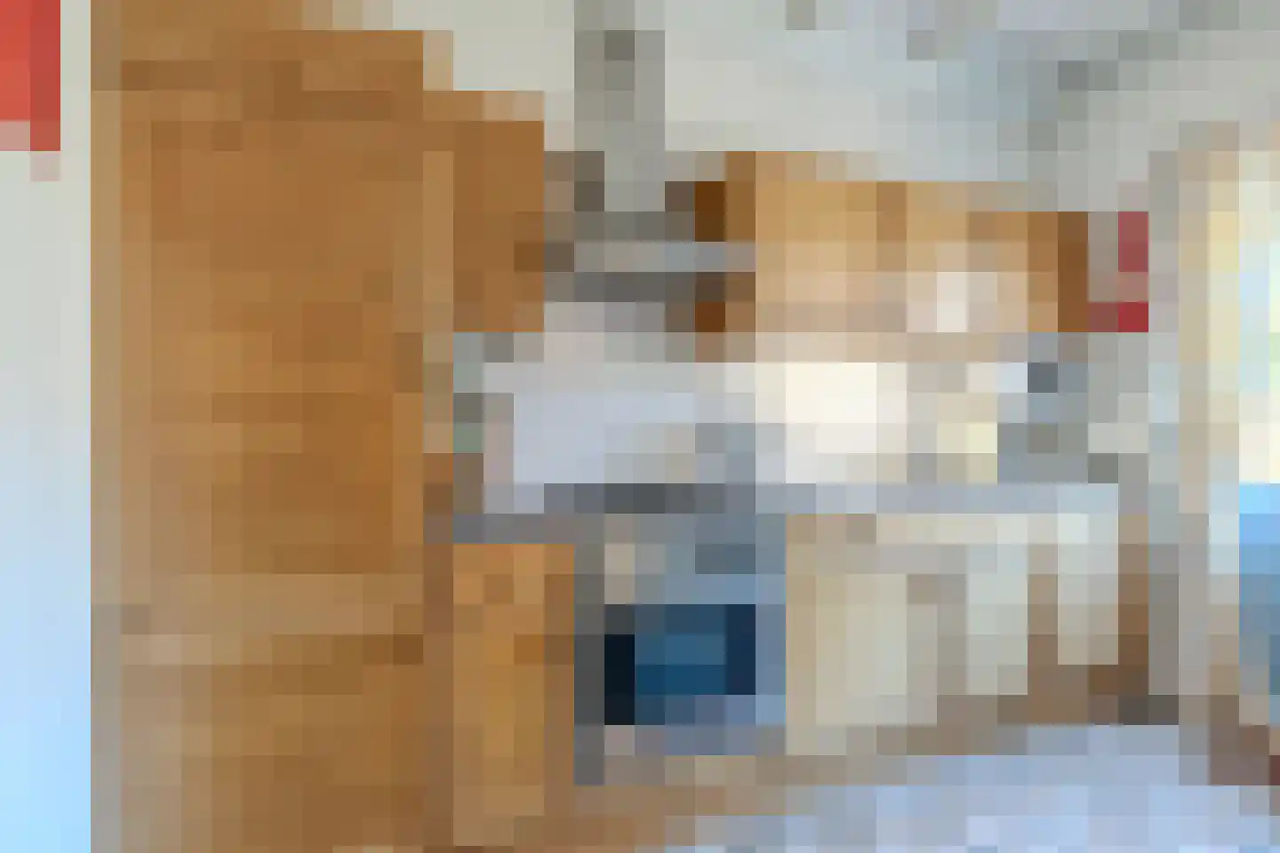 Frisostraat 2 Zevenbergschen Hoek thumbnail 19