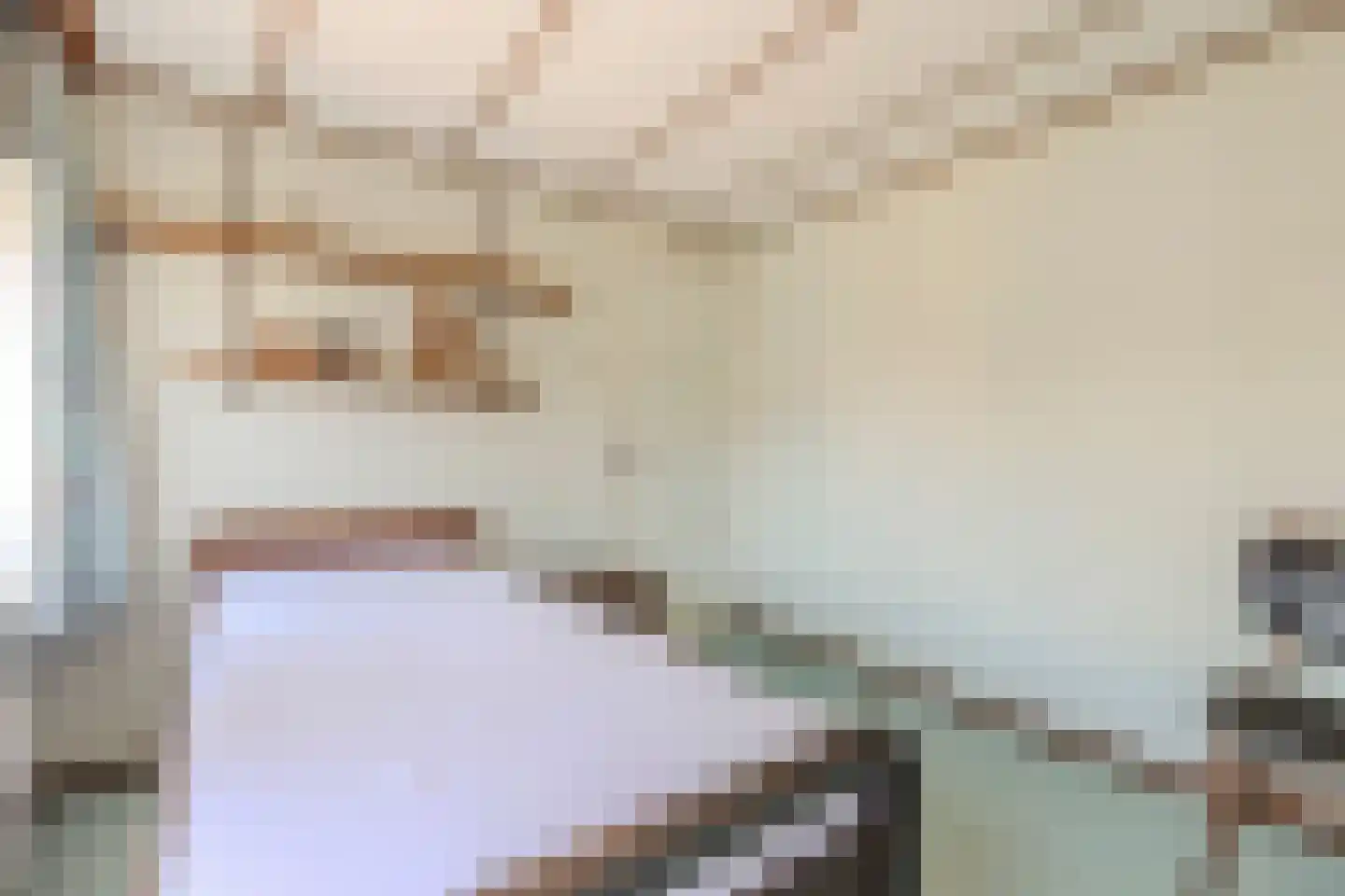 Frisostraat 2 Zevenbergschen Hoek thumbnail 24