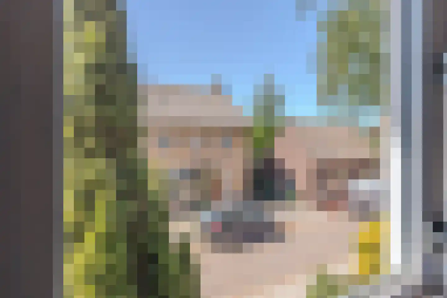 Frisostraat 2 Zevenbergschen Hoek thumbnail 25