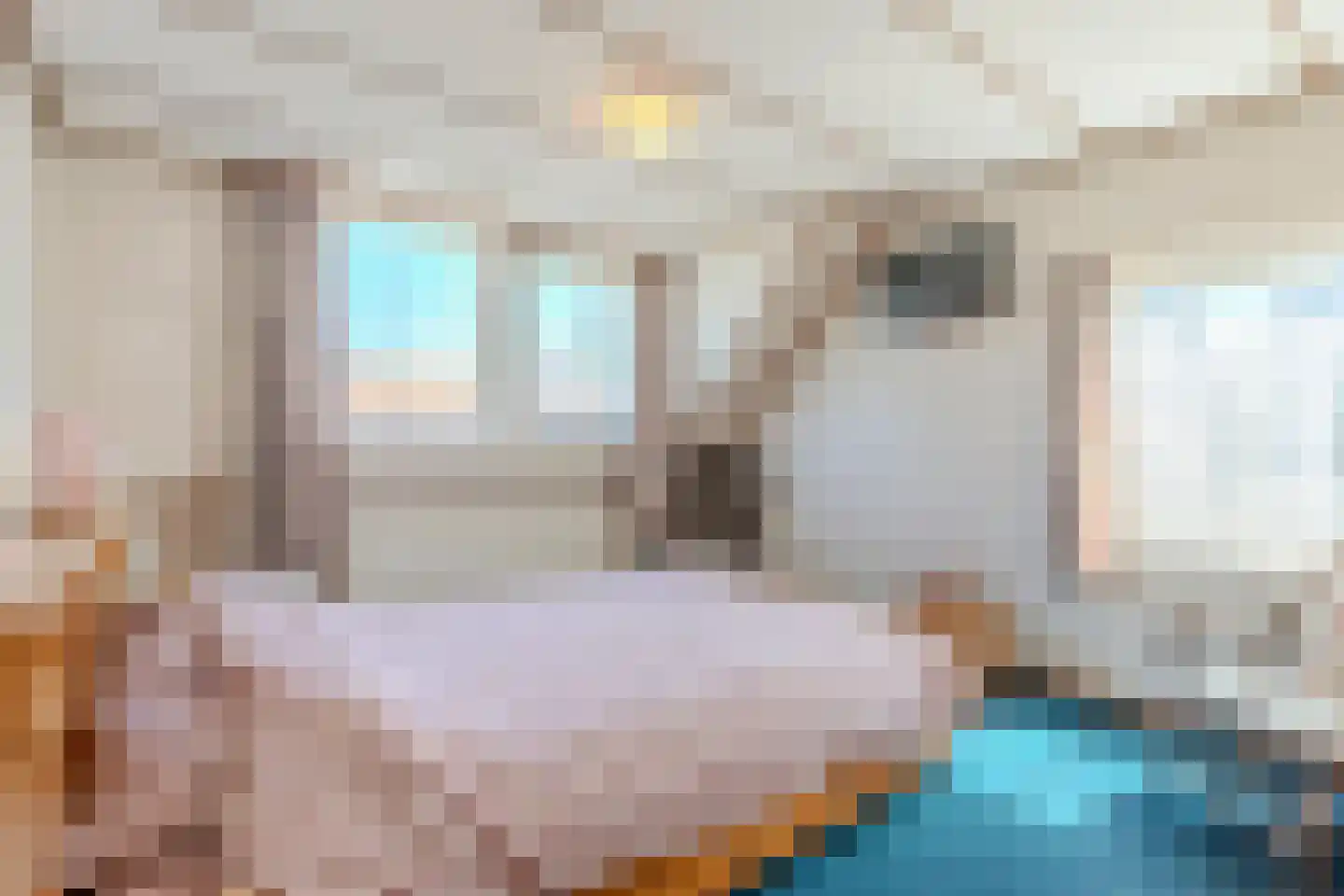 Frisostraat 2 Zevenbergschen Hoek thumbnail 26