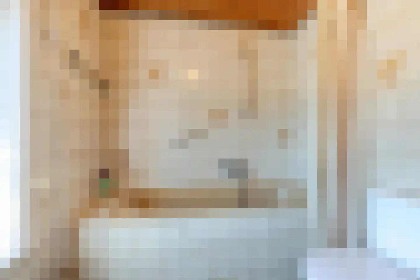 Frisostraat 2 Zevenbergschen Hoek thumbnail 31