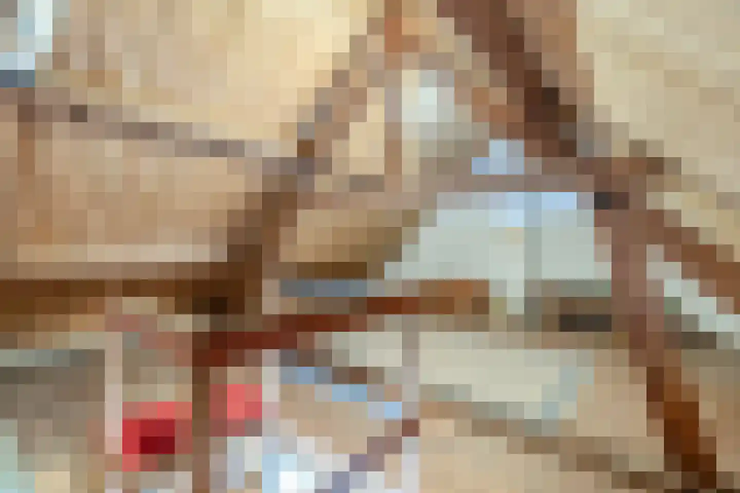 Frisostraat 2 Zevenbergschen Hoek thumbnail 33