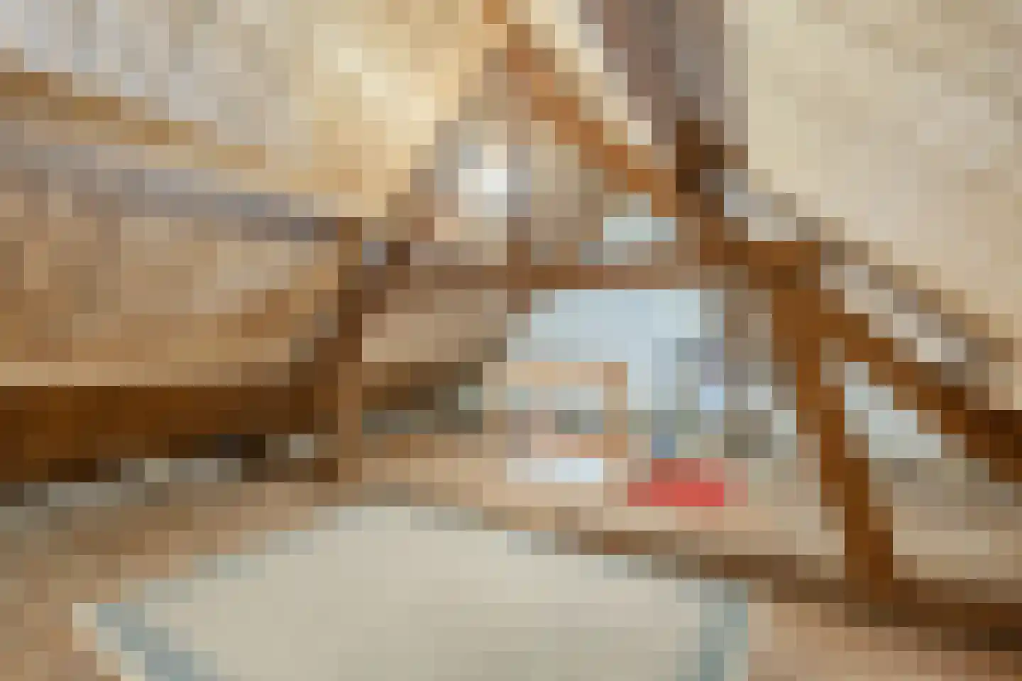 Frisostraat 2 Zevenbergschen Hoek thumbnail 34