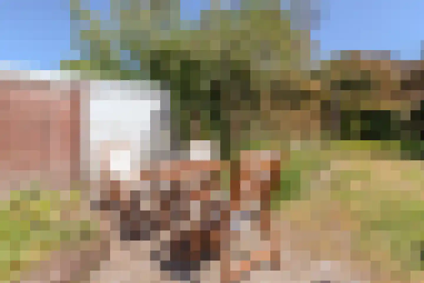 Frisostraat 2 Zevenbergschen Hoek thumbnail 39
