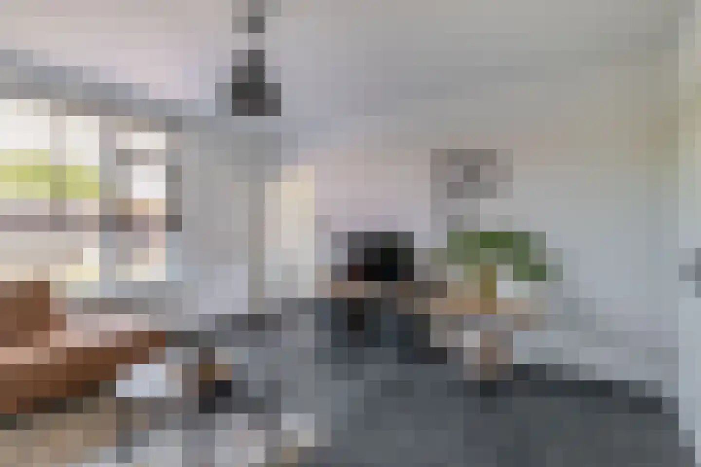 Frisostraat 21 Zevenbergschen Hoek thumbnail 11