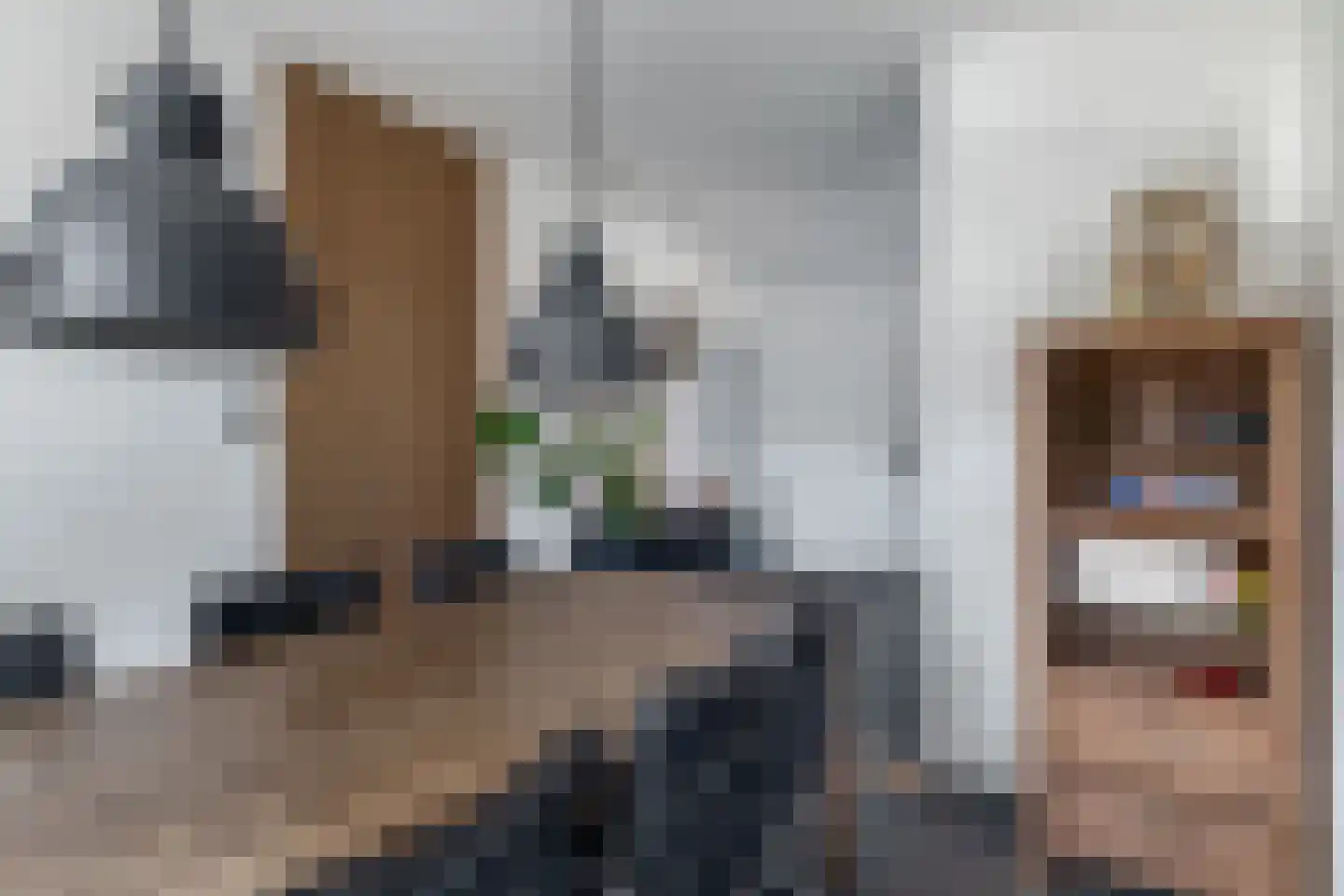 Frisostraat 21 Zevenbergschen Hoek thumbnail 14