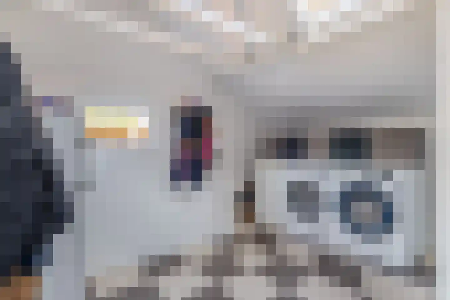 Frisostraat 21 Zevenbergschen Hoek thumbnail 17