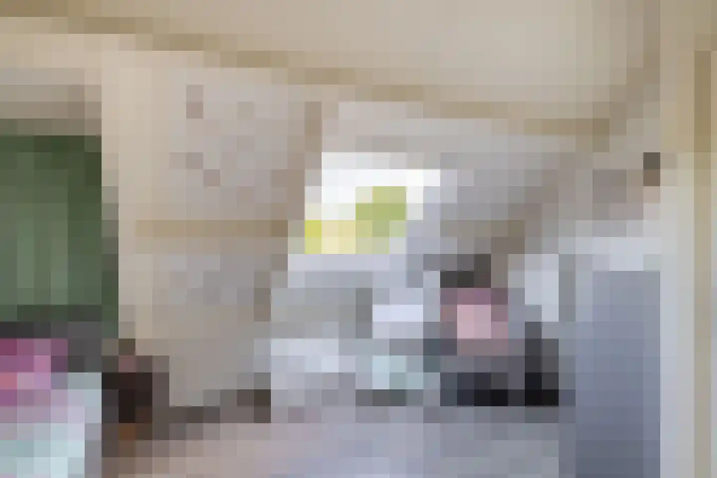 Frisostraat 21 Zevenbergschen Hoek thumbnail 24