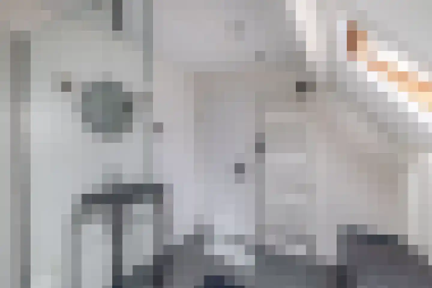 Frisostraat 21 Zevenbergschen Hoek thumbnail 26
