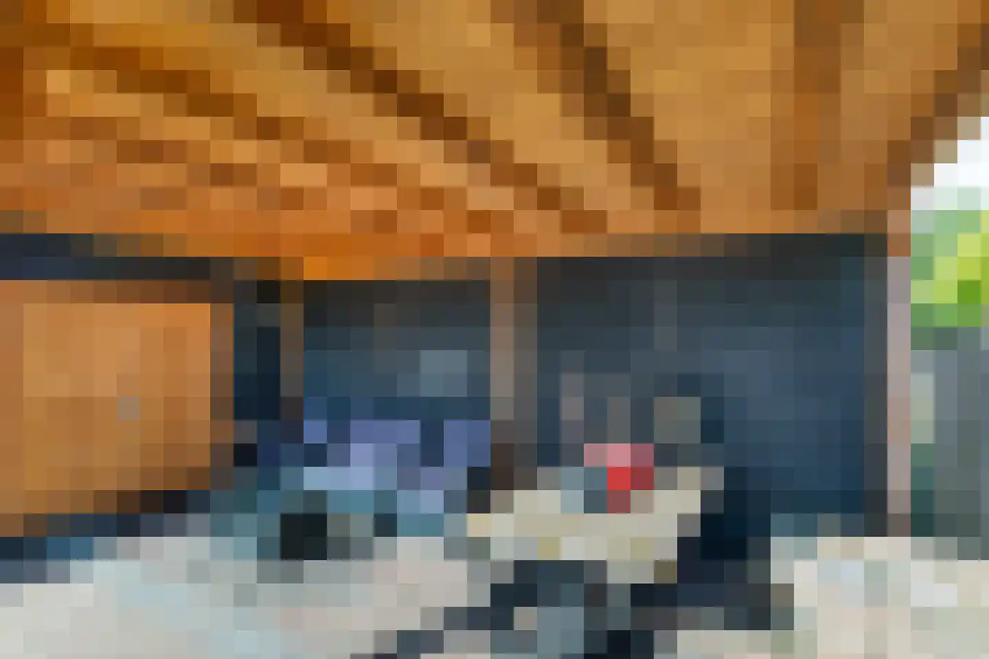 Frisostraat 21 Zevenbergschen Hoek thumbnail 32