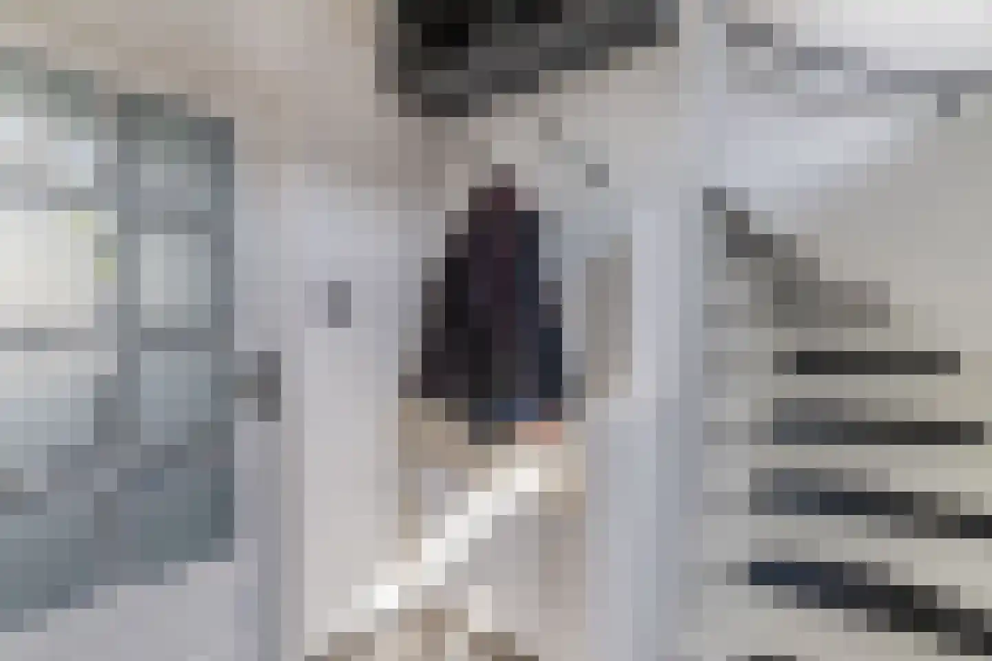 Frisostraat 21 Zevenbergschen Hoek thumbnail 9