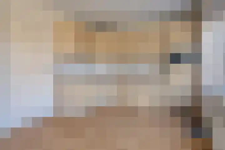 Frisostraat 3 Hulst thumbnail 10