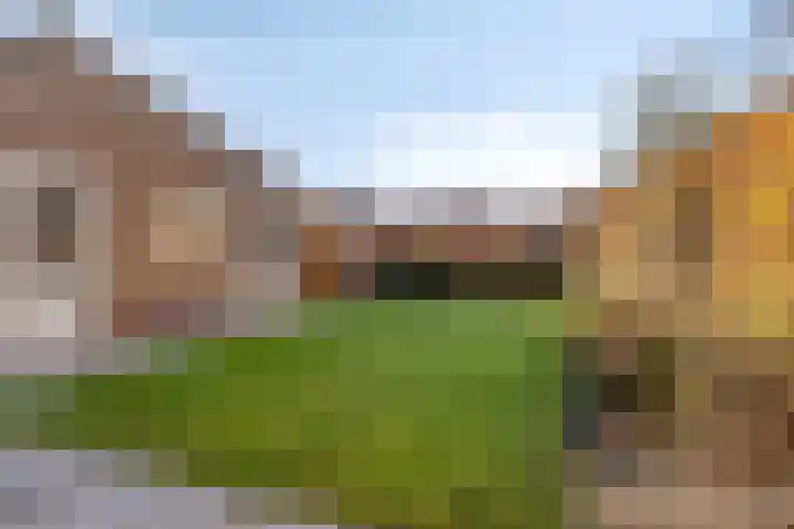 Frisostraat 3 Hulst thumbnail 21