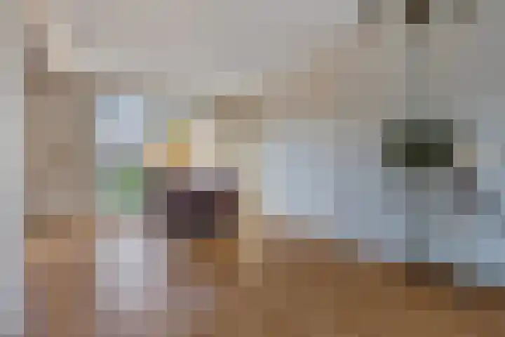 Frisostraat 3 Hulst thumbnail 7