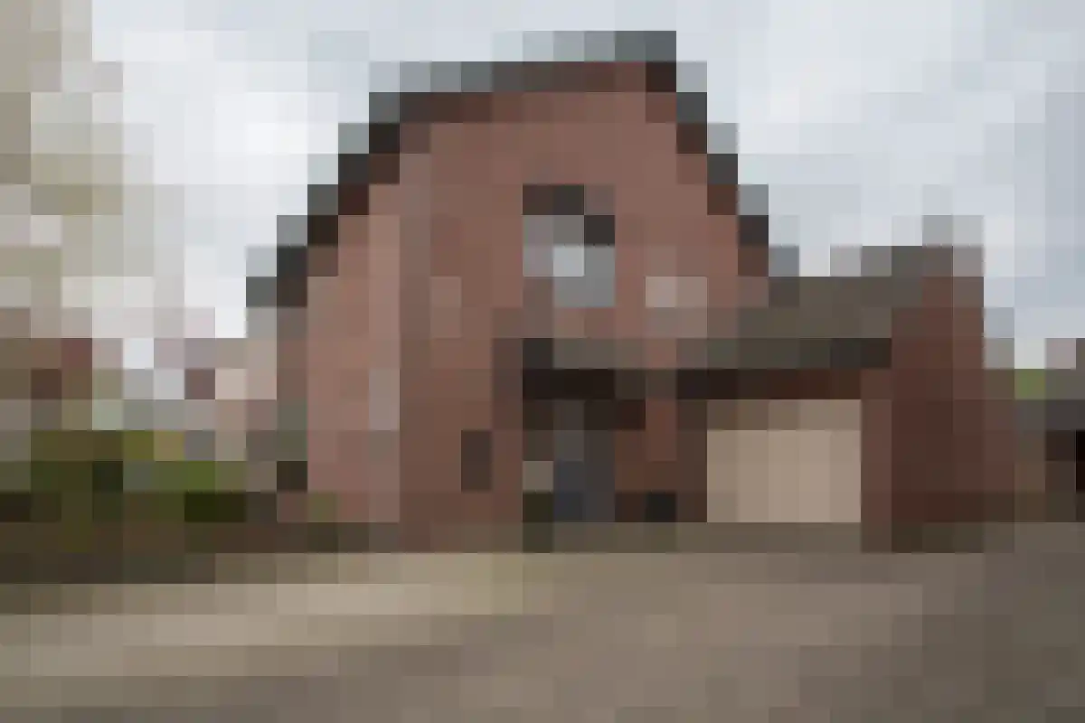 Frisostraat 38 Grathem thumbnail 7