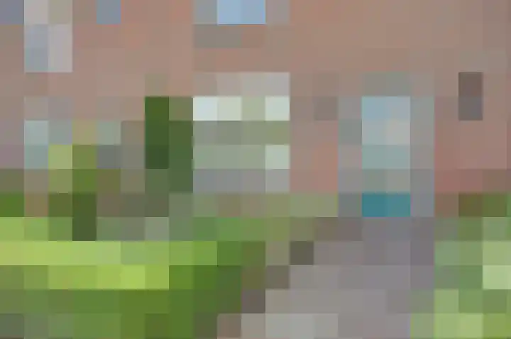 Frisostraat 4 Westwoud thumbnail 4