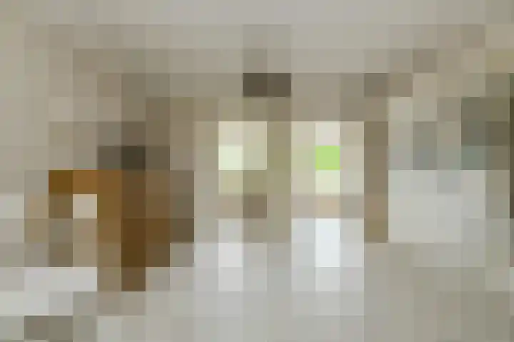 Frisostraat 47 Zevenbergschen Hoek thumbnail 10