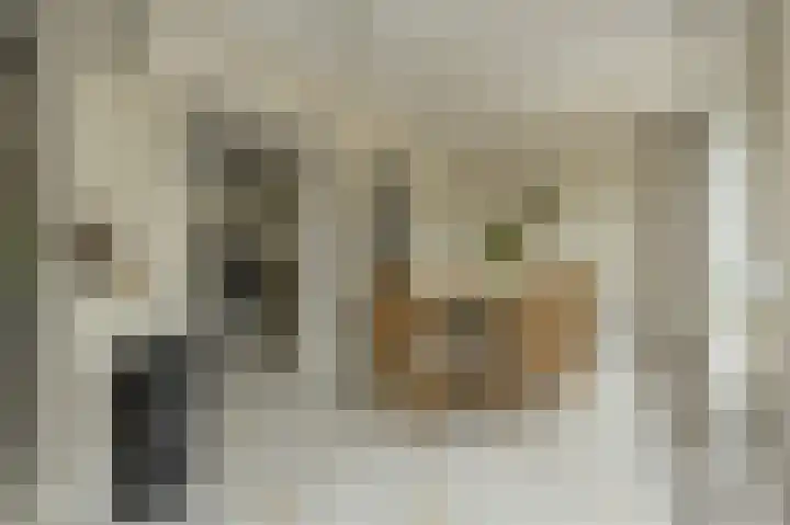 Frisostraat 47 Zevenbergschen Hoek thumbnail 13