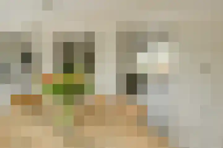 Frisostraat 47 Zevenbergschen Hoek thumbnail 14