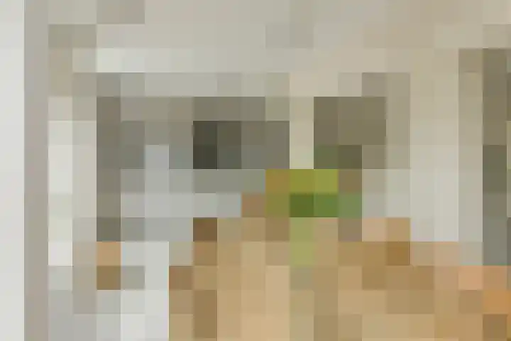Frisostraat 47 Zevenbergschen Hoek thumbnail 15